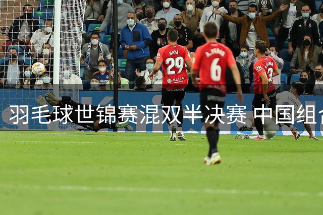 羽毛球世锦赛混双半决赛 中国组合惜败无缘决赛